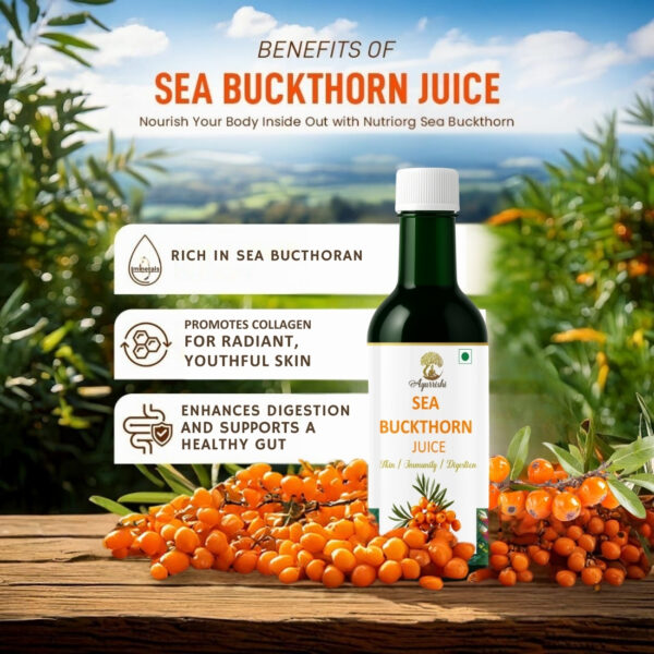 Ayurrishi Sea Buckthorn Juice - Image 5