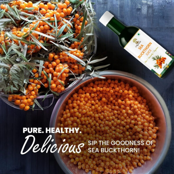 Ayurrishi Sea Buckthorn Juice - Image 9